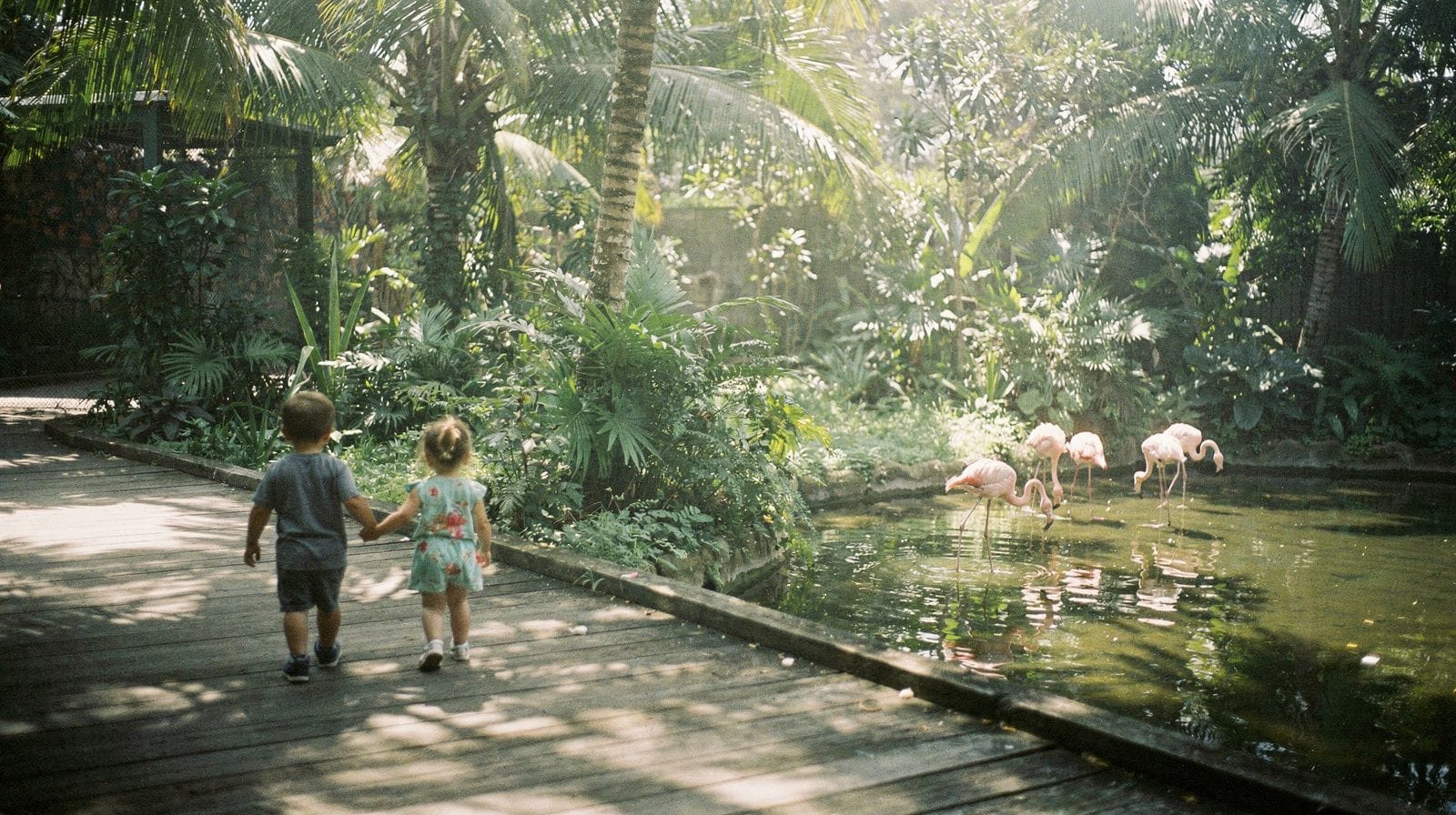 Miami with a toddler: what actually works