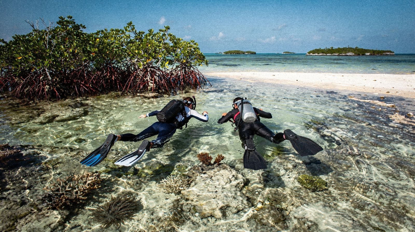 Snorkeling and diving