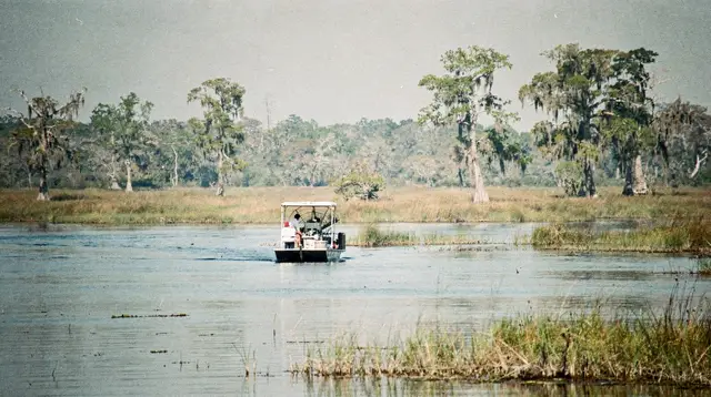 Everglades