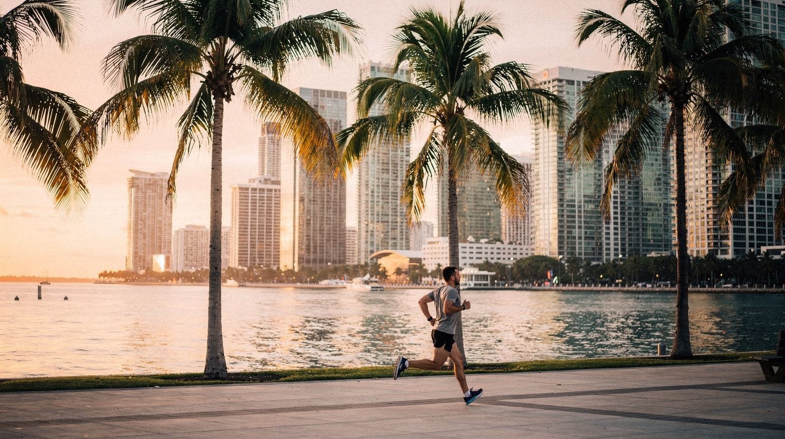 Miami city: Downtown, Brickell, Little Havana and Wynwood