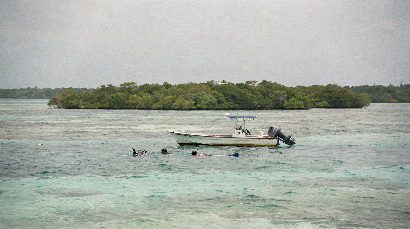 Biscayne National Park: the guide to Miami's underwater park
