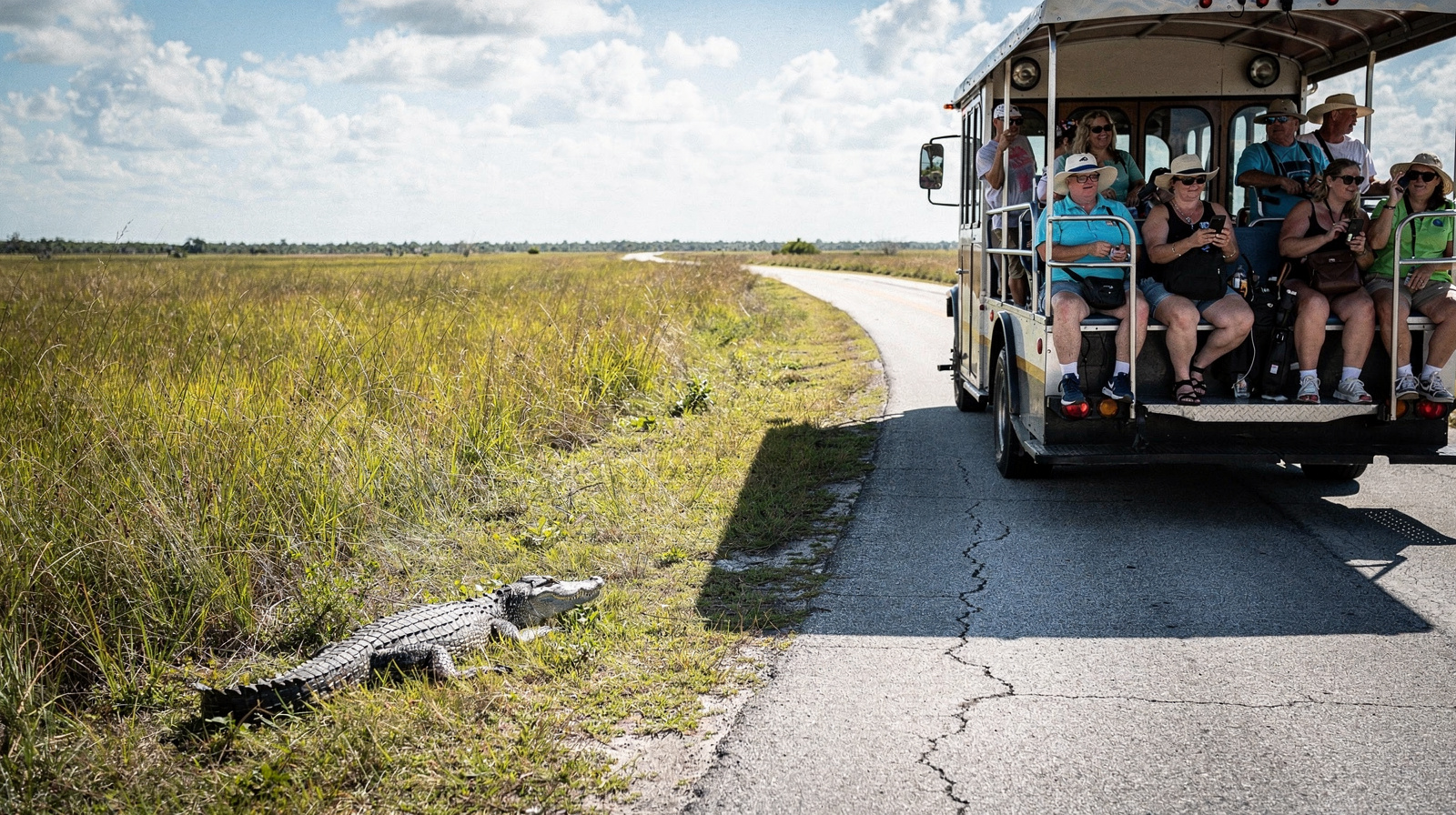 Everglades airboat tour or Shark Valley tram?