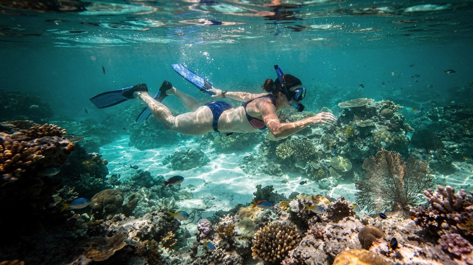 John Pennekamp Coral Reef State Park: the complete guide