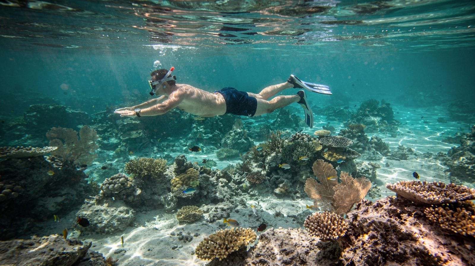 Key Largo snorkeling and diving: Miami's nearest coral reef
