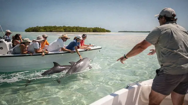Key West dolphin and wildlife tours