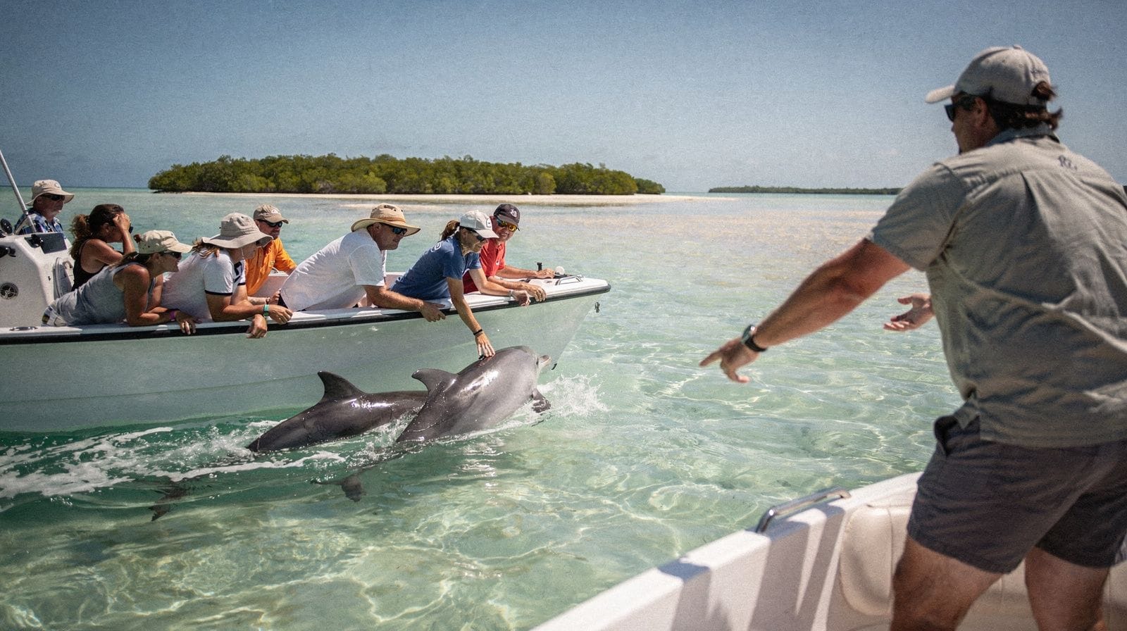 Key West dolphin and wildlife tours