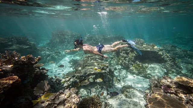 Key West snorkeling and diving