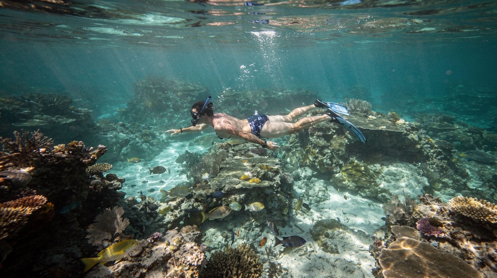 Key West snorkeling and diving