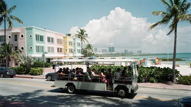 Miami city tours: Downtown, Wynwood and Coral Gables