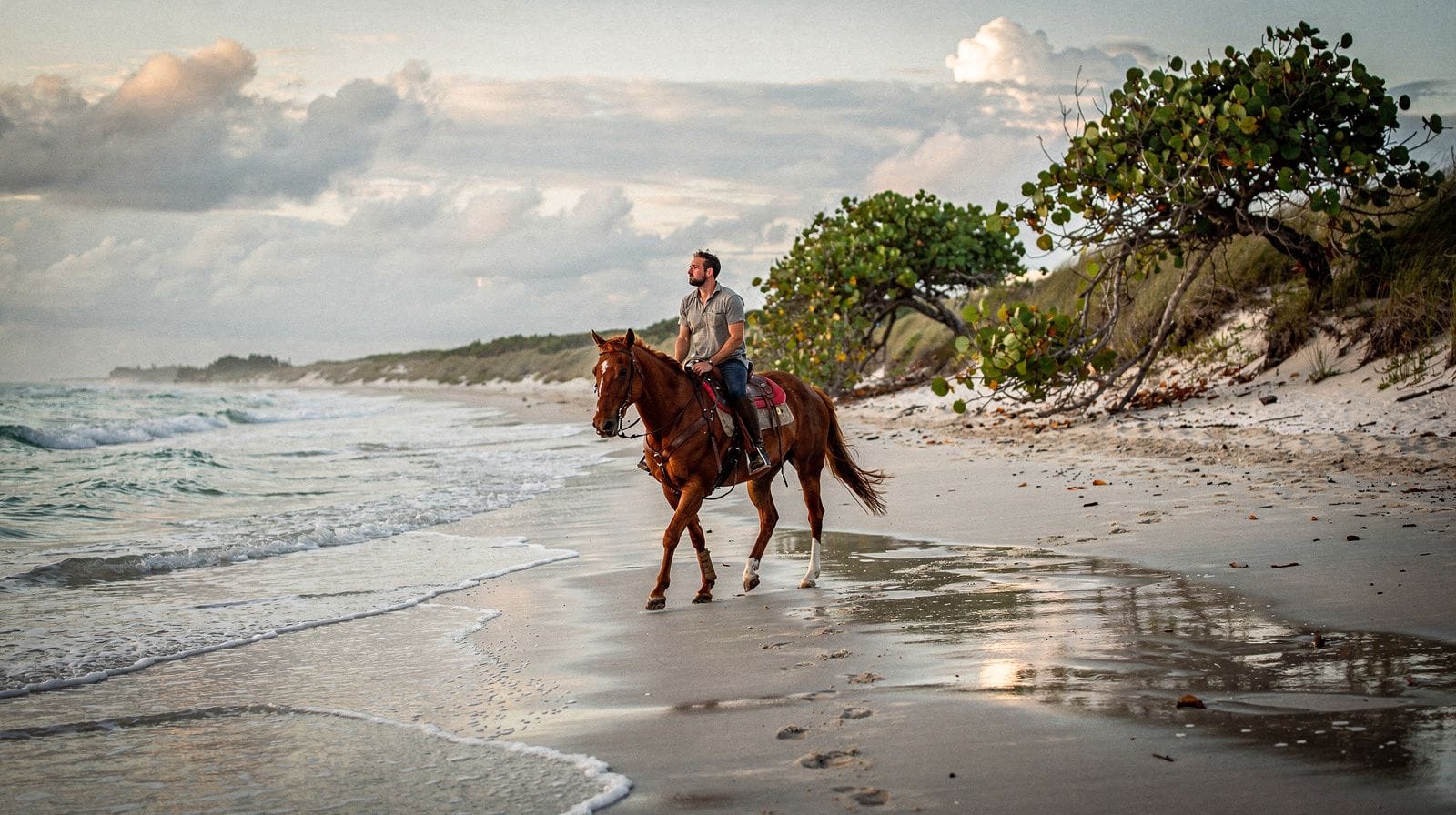Horseback riding near Miami: what to expect