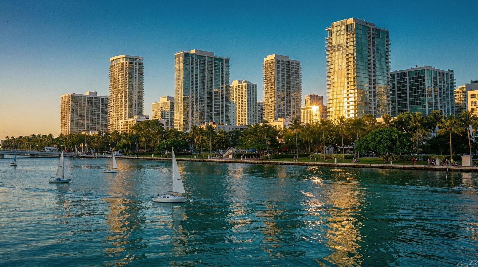 Miami in winter: the dry season, high season and best time for the Everglades