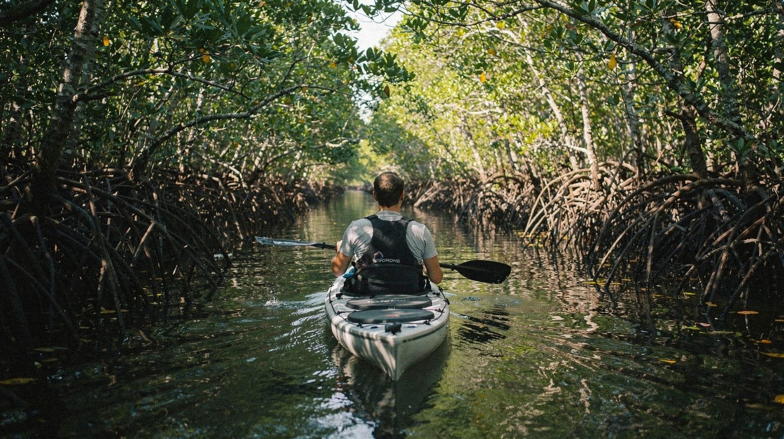 Kayak and paddleboard tours in Miami: bay side, not beach side