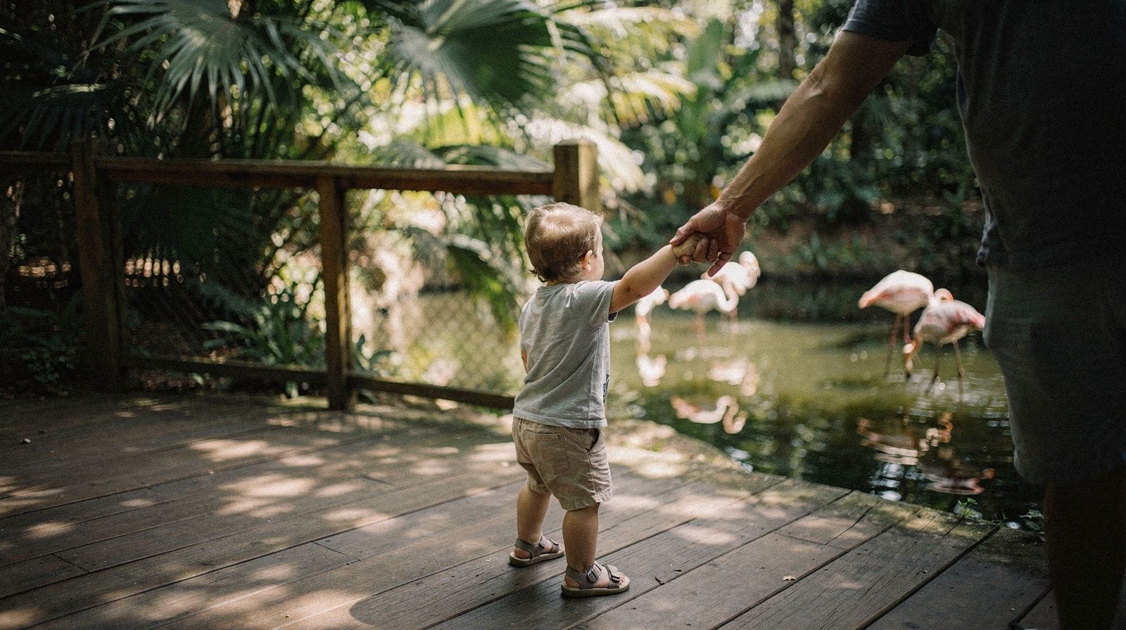 Miami with kids: what actually works for families
