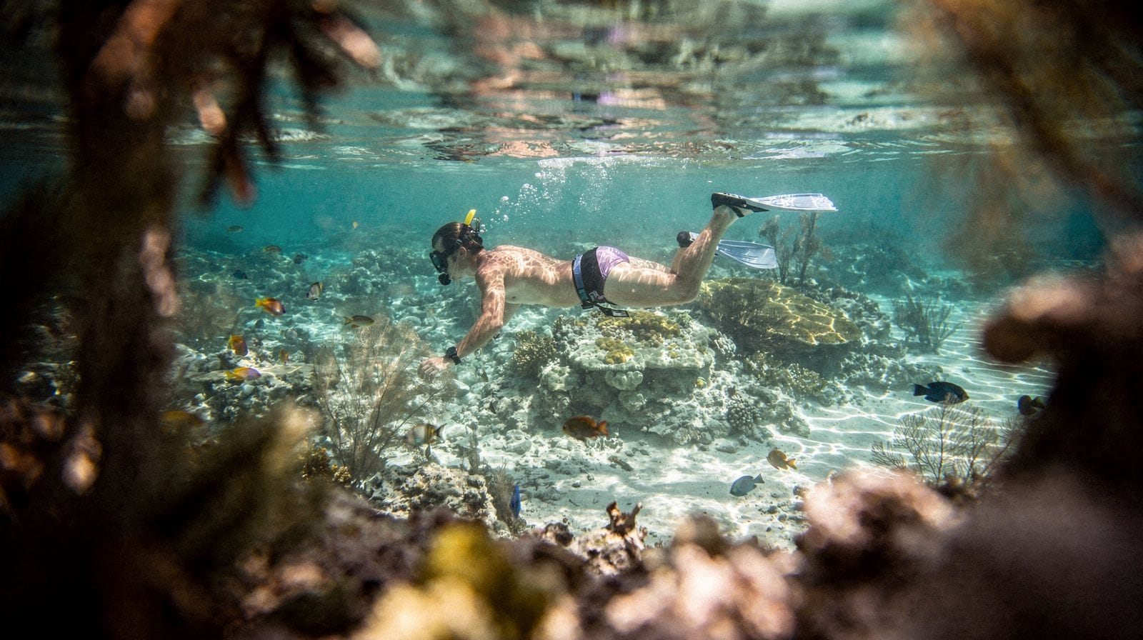 Snorkeling and diving in Palm Beach and Boca Raton
