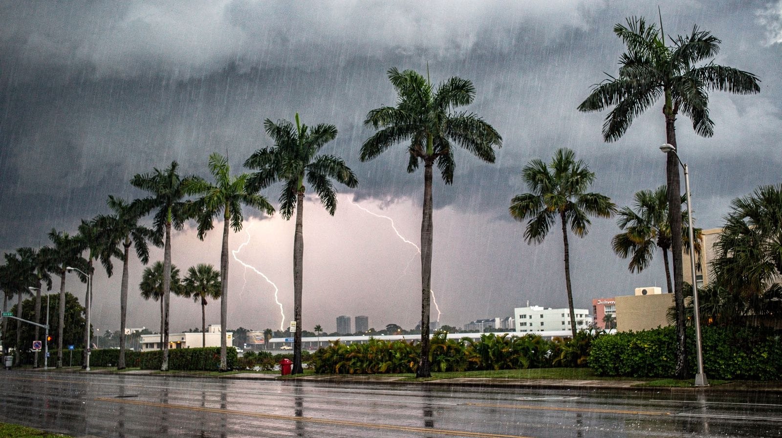 Rainy day things to do in Miami