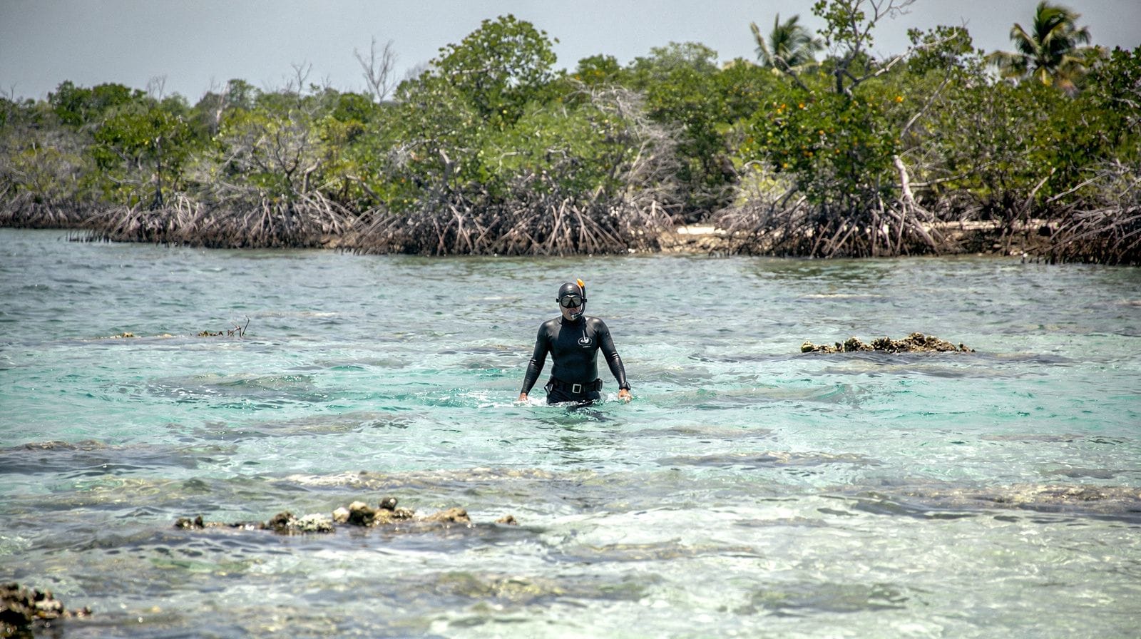 Things to do in Key Largo