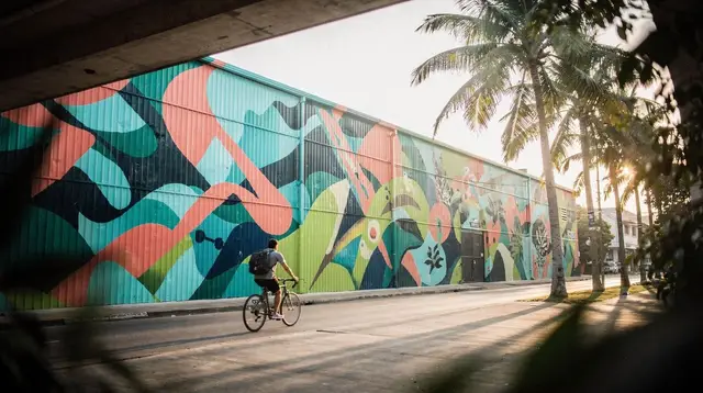 Wynwood street art tours: walls, galleries and what's actually free