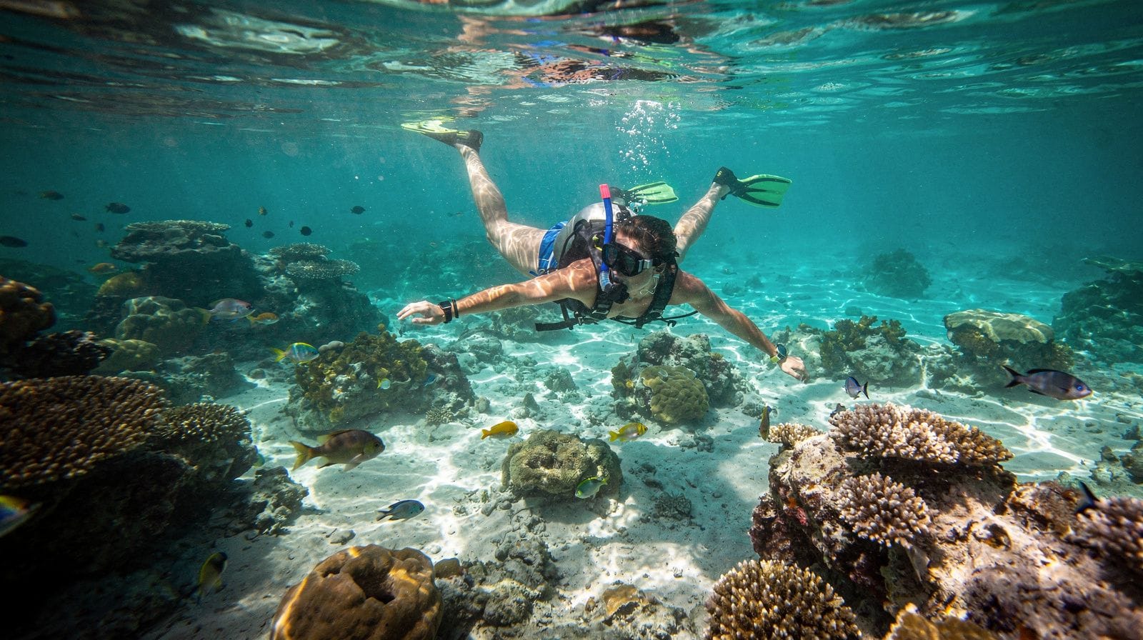 Florida Keys snorkeling and diving week: Key Largo to Key West